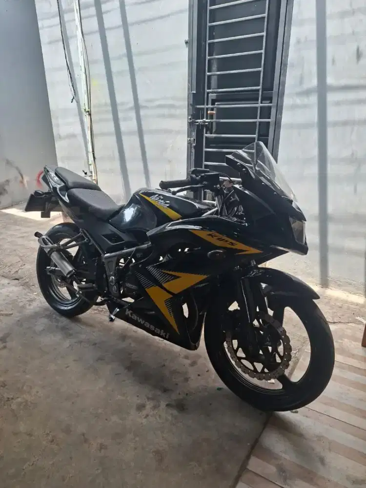 NINJA RR        2013