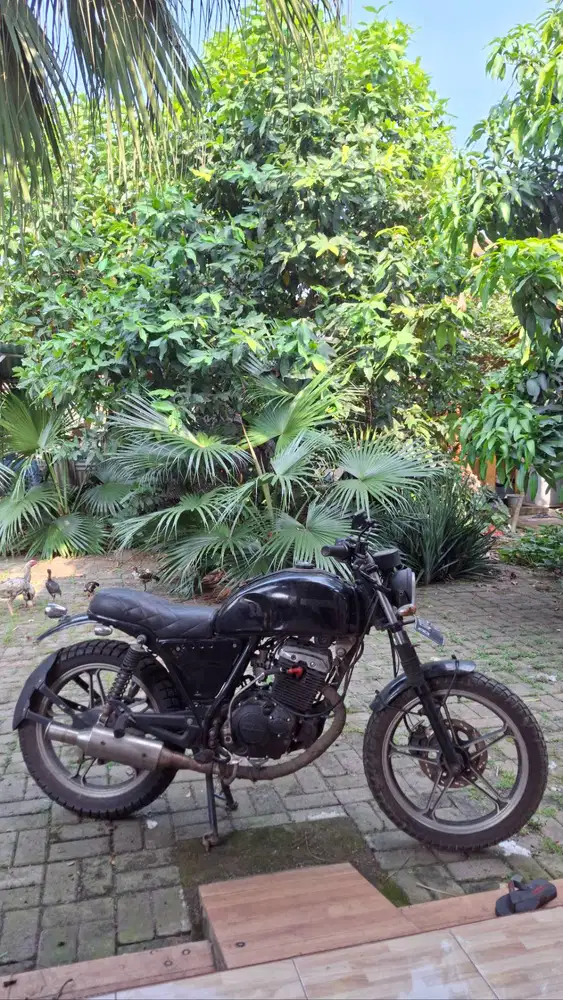 CUSTOM SUZUKI THUNDER 125cc