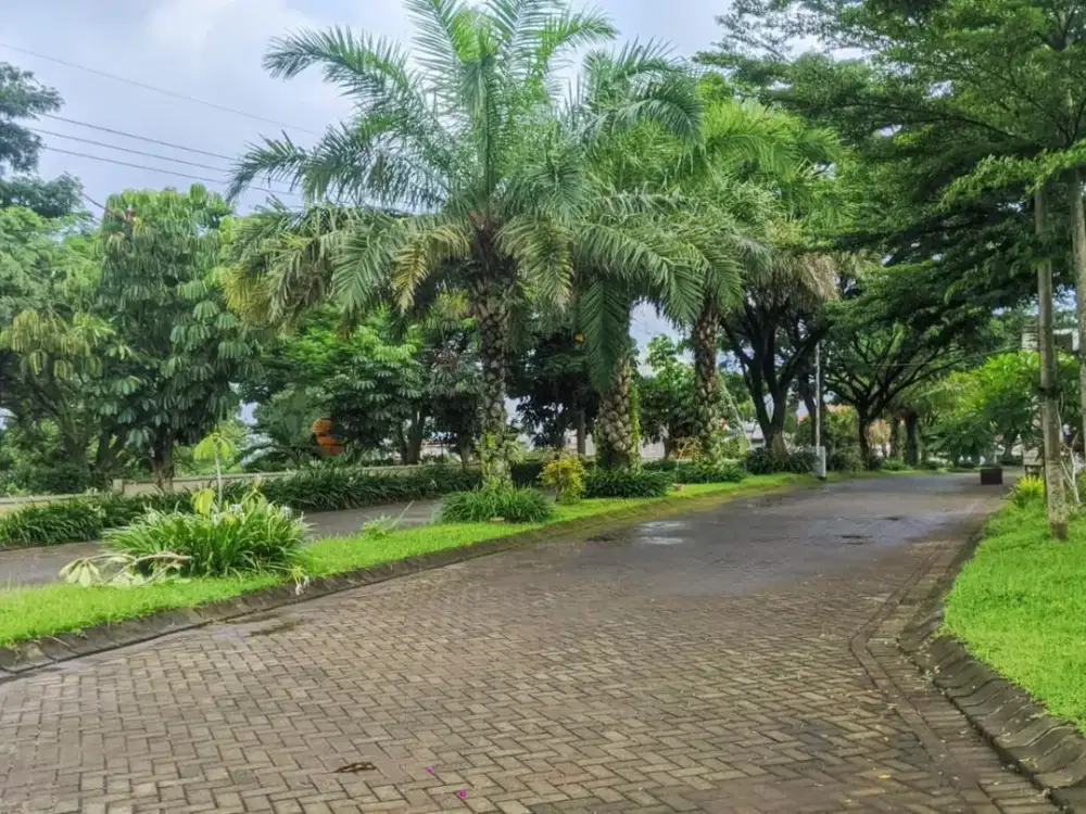 Kavling Strategis Locari – Harga Bersahabat & Bebas Macet