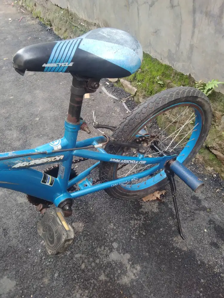 BMX wimcycle 18