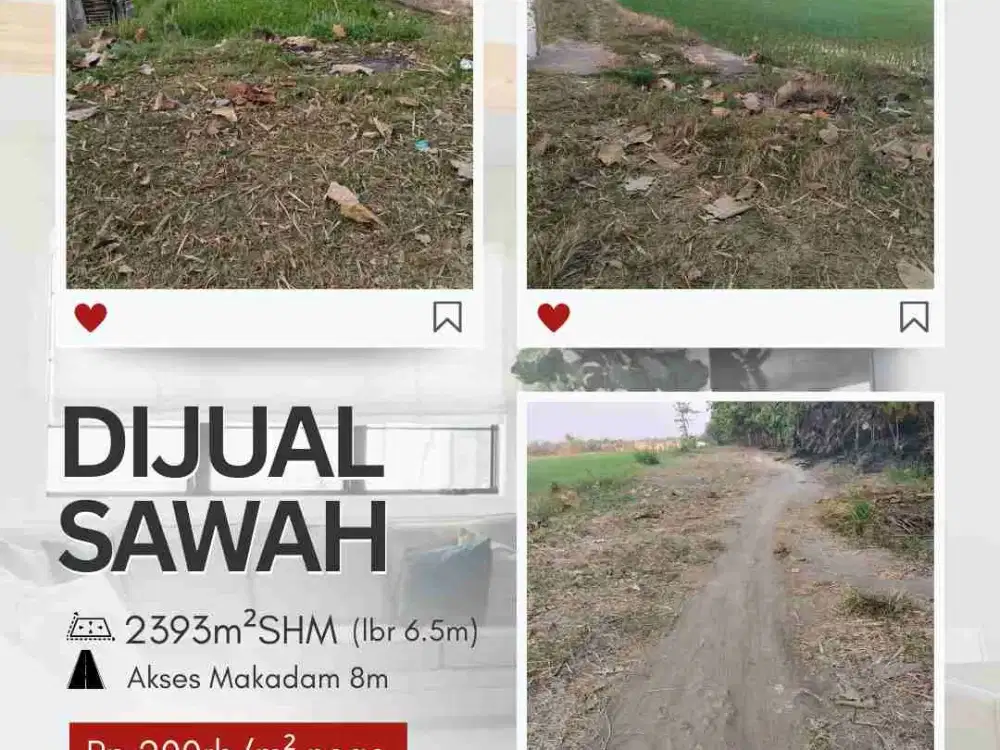 Dijual Sawah Aktif Dekat Hermina Madiun