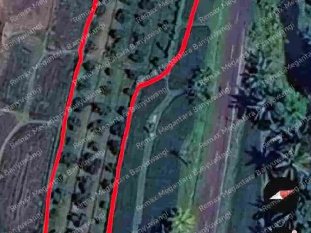 Dijual Tanah Produktif Dekat Resto Kemarang – Lokasi Strategis! Dekat ke Ijen