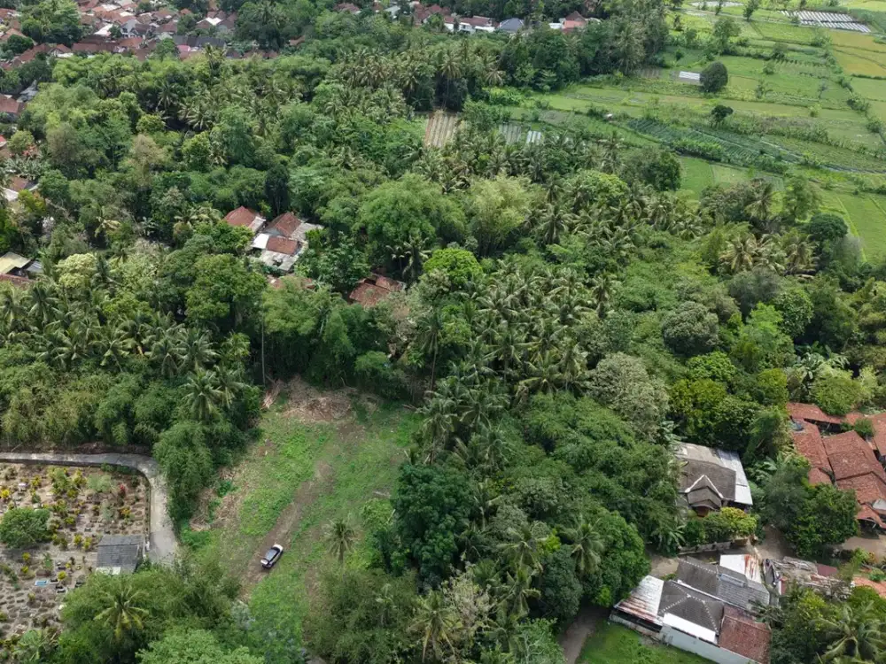 Tanah Triharjo Sleman 2 Jutaan, 800 Meter Samsat Sleman