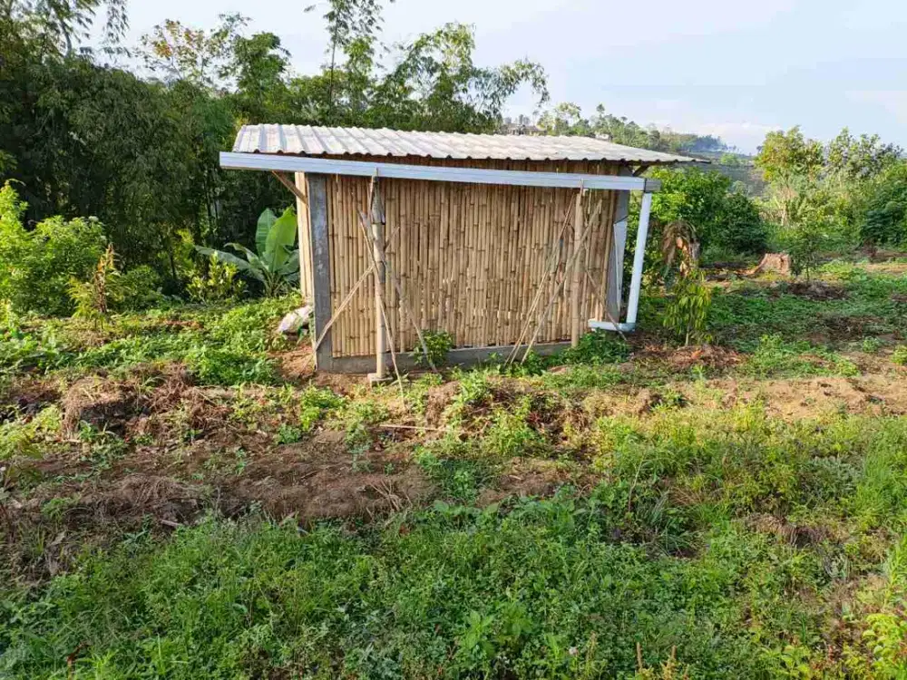 Tanah murah pinggir jalan utama poncokusumo malang