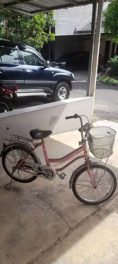 SEPEDA Wimcycle Pink