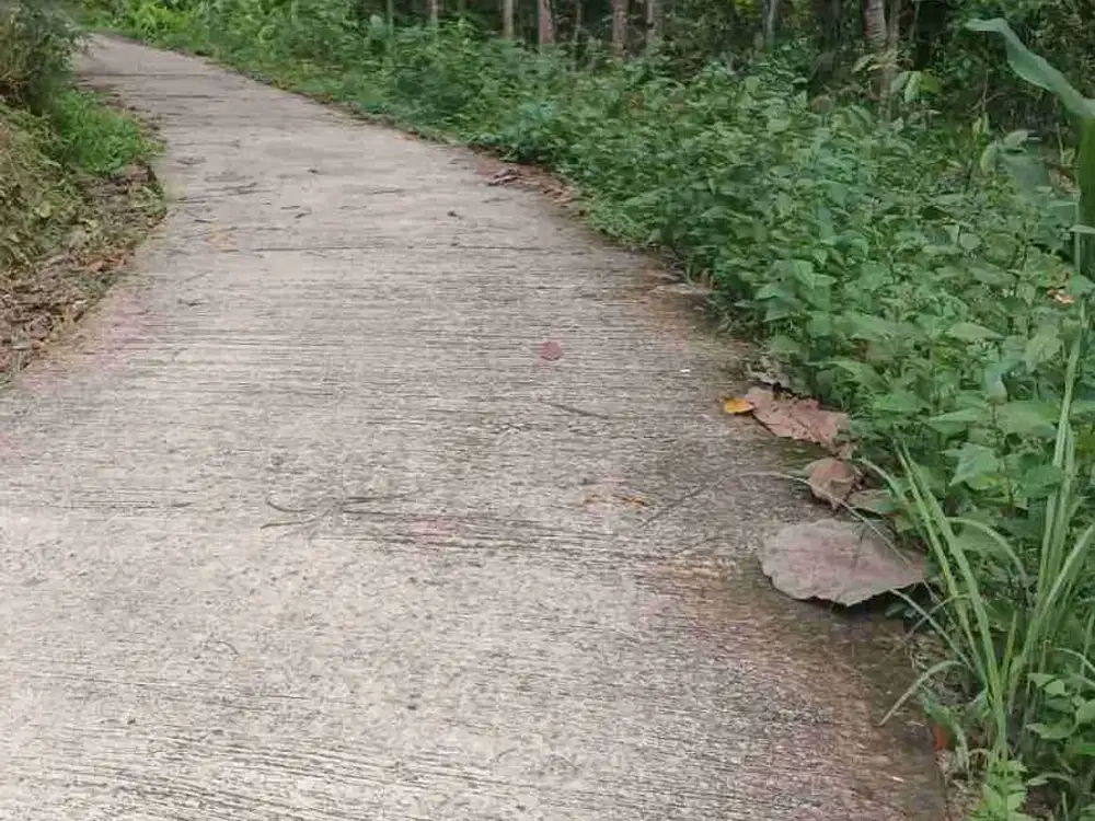 JUAL TANAH DI HARGOREJO KOKAP KULONPROGO