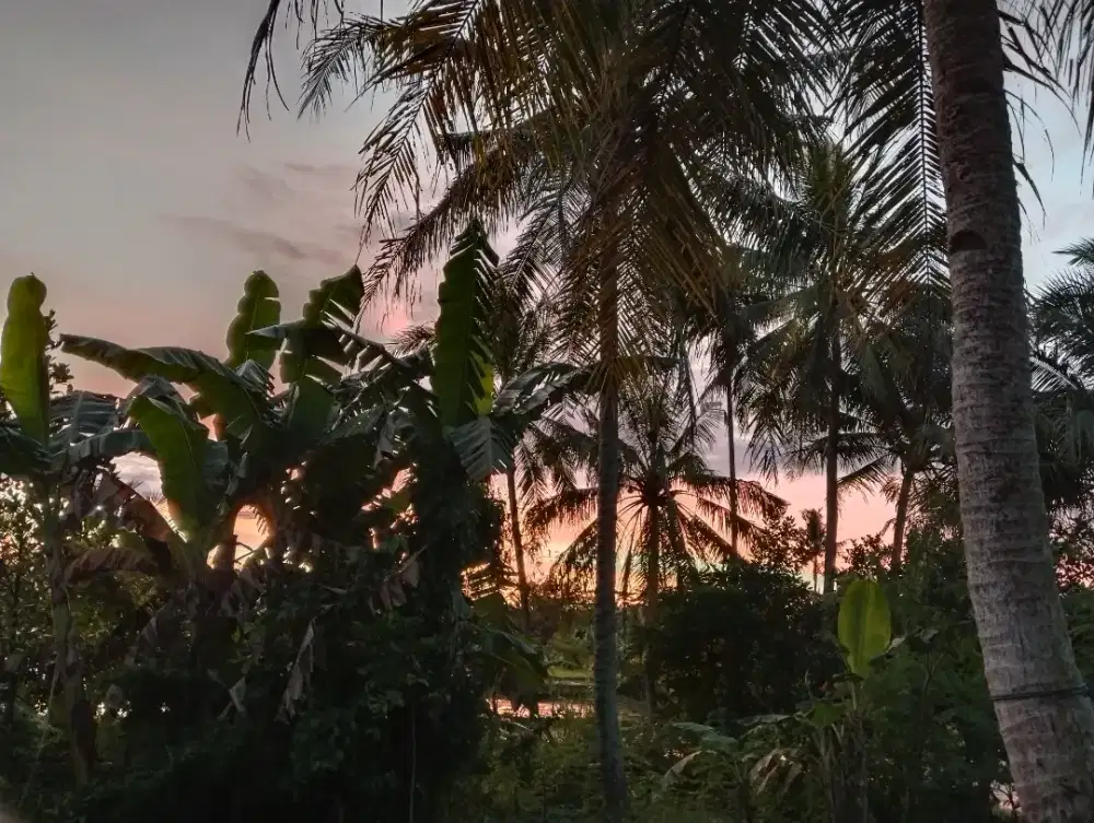 Cari pekerjaan freelance