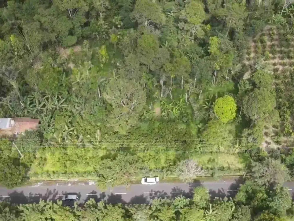 Tanah Komersial Panorama Hutan di Pelaga dengan Udara Sejuk Alami