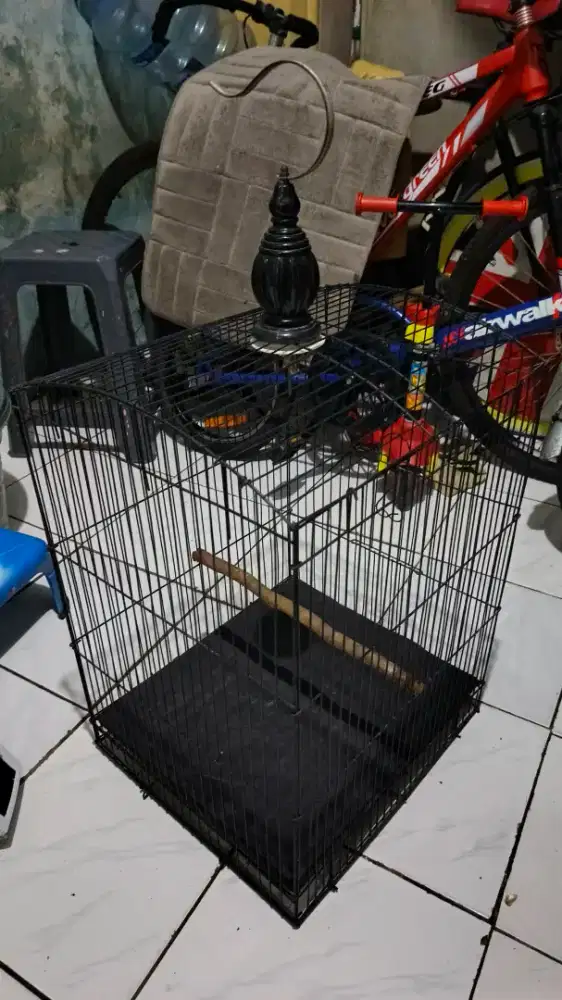 Kandang kotak besi uk jalak suren
