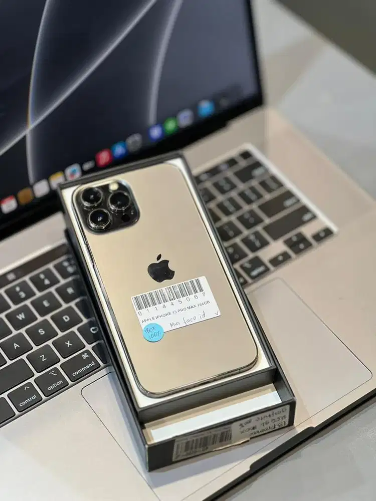 Second Iphone 13 Pro Max 256GB Minus Face ID