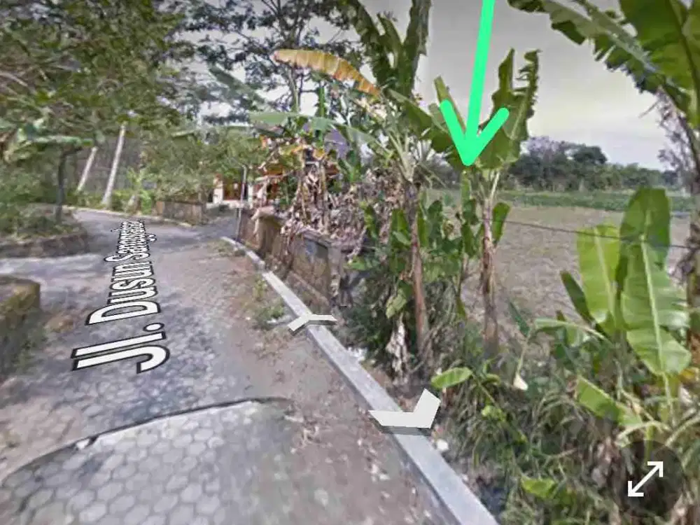 Tanah Murah jl sanggrahan Catur harjo sleman yogyakarta