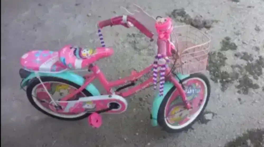 Sepeda Anak untuk Perempuan