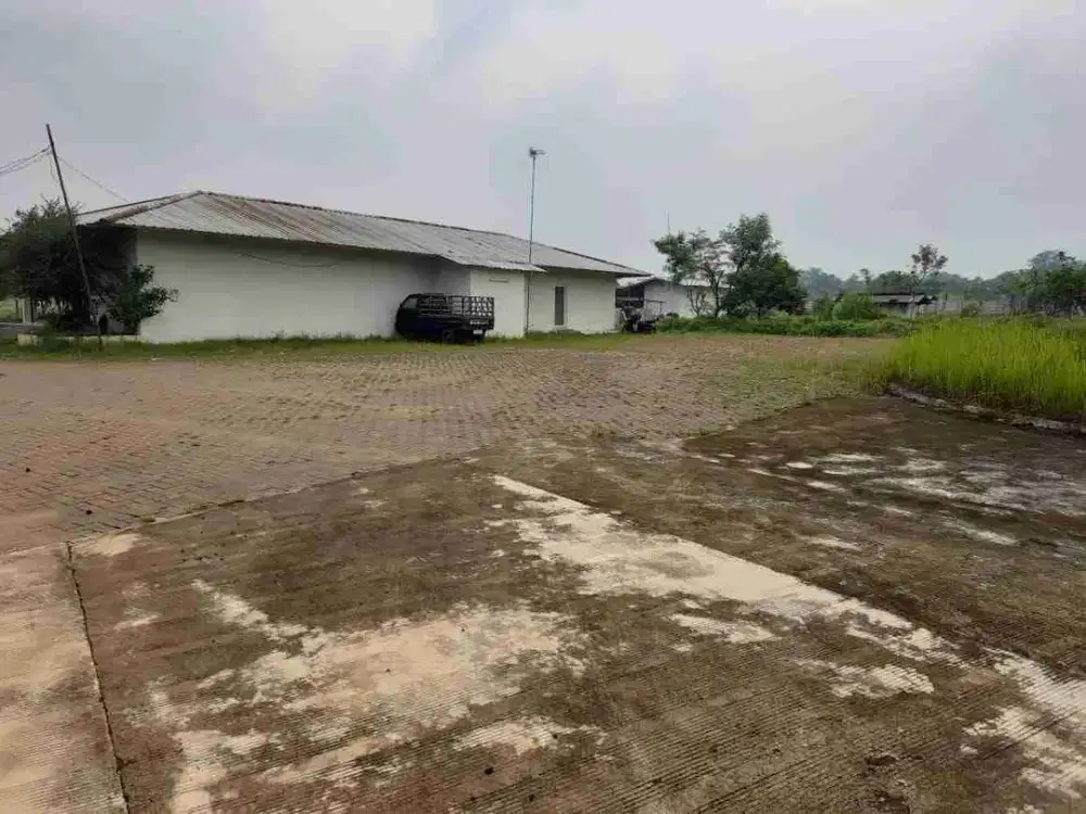 Dijual Kebun Durian &amp; Kolam Pemancingan Galatama Lt 4 Ha 125rb/m2