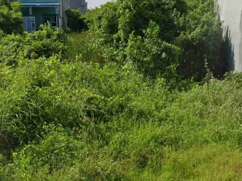 Dijual Murah Tanah Kavling Gunung Anyar Tambak cocok untuk Investasi