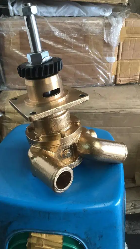Sea water pump yanmar