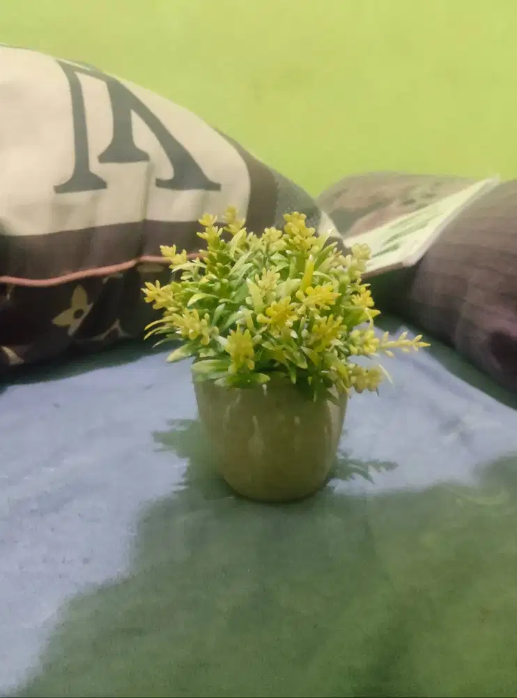 Pot bunga mini hiasan meja cantik HSC 2025