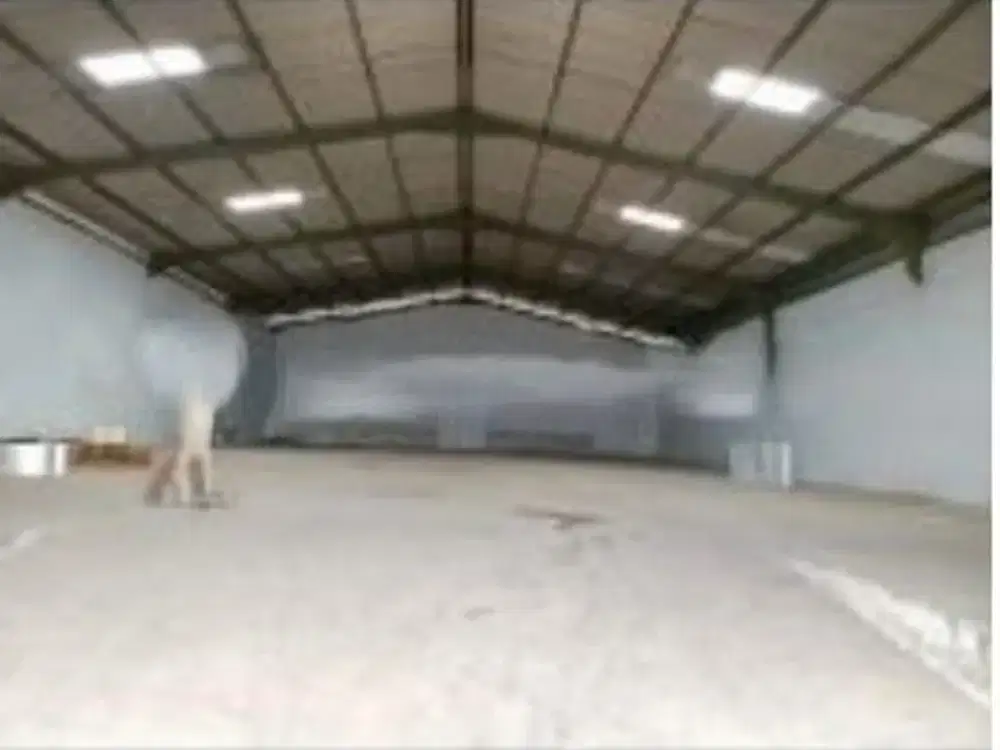 Dijual gudang di Muara Baru, Jakarta Utara. 6200m, Nego sampai jadi.