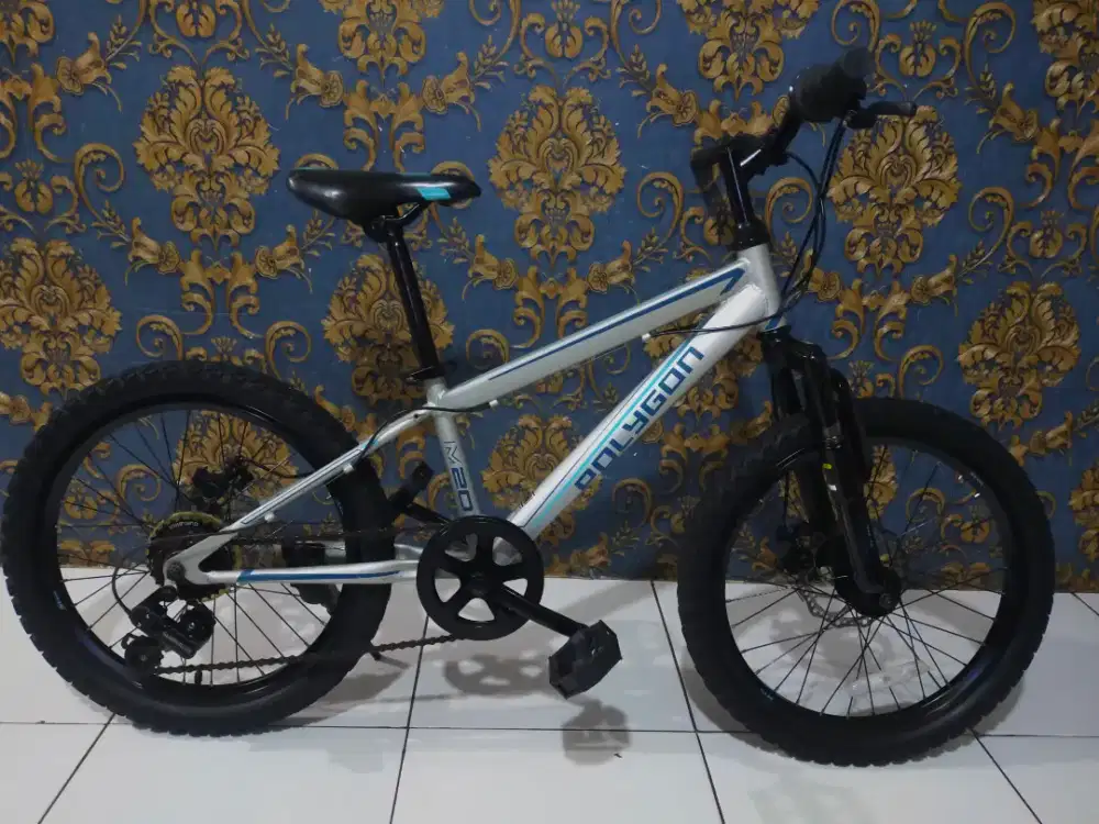 Sepeda Polygon anak