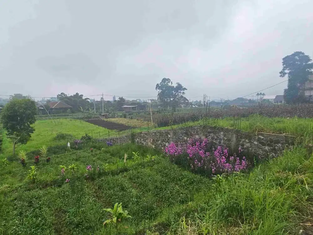 tanah jalan utama metro batu pinggir jalan bagus buat villa besar atau cluster view istimewa lahan kuning