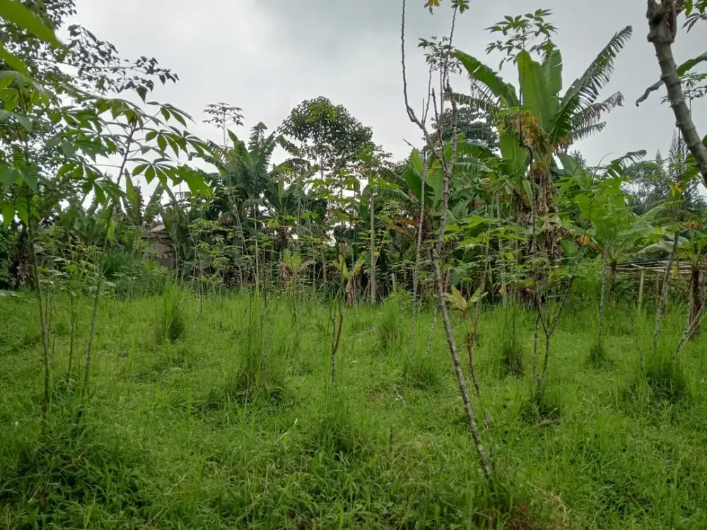 Dijual Tanah Cocok Buat Villa dan Pertanian GAmbung Ciwidey