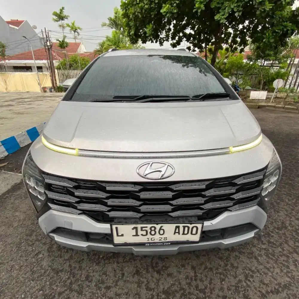 Stargazer X 2023 CAT ORIGINAL Total Super Istimewa