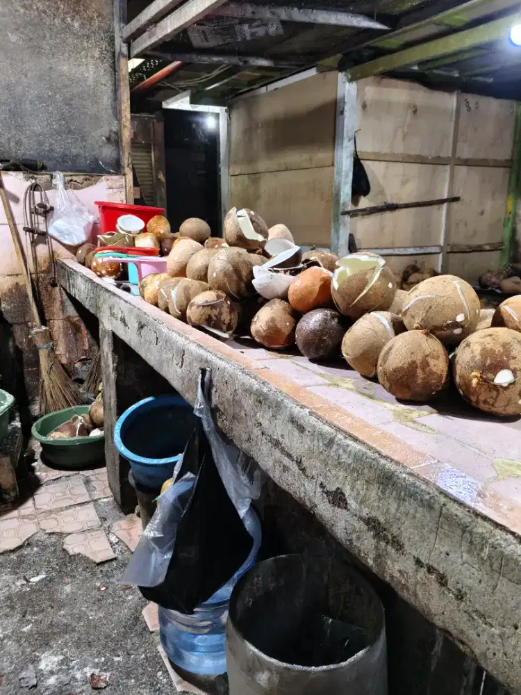 Kelapa untuk segala kebutuhan Anda