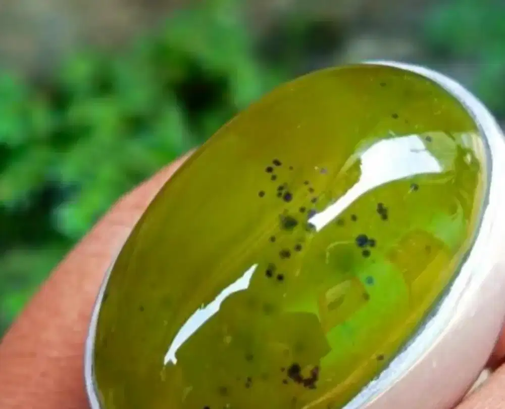 Idocrase aceh giok langka JUMBO