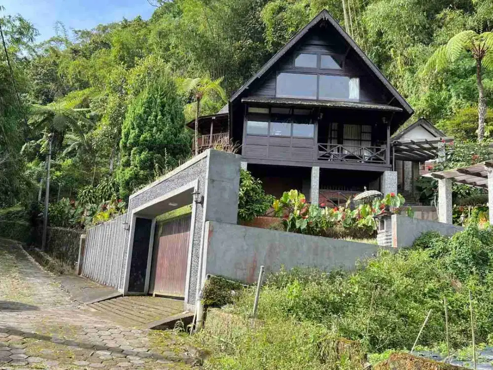 jual tanah lokasi bedugul bali