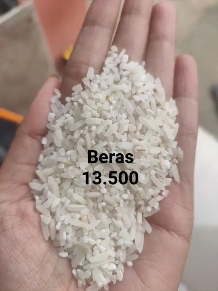 Beras pulen enak c4 Raja