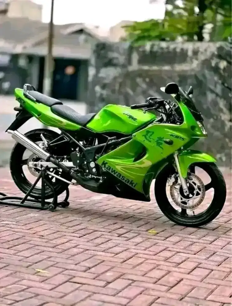 Kawasaki ninja rr old 2011