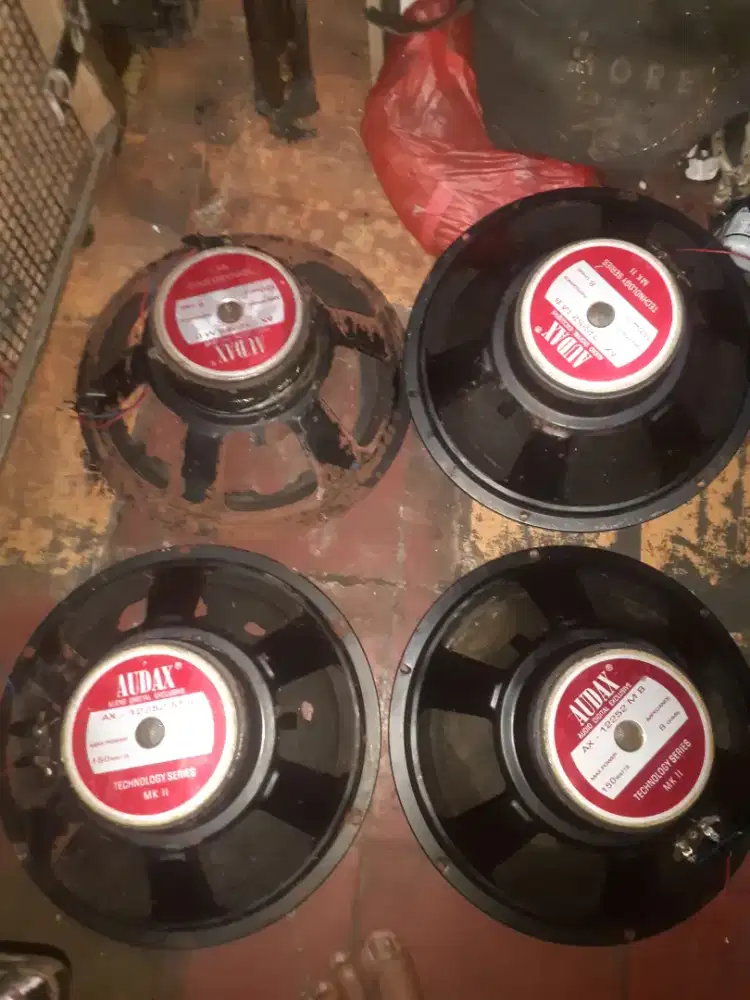 Speaker 12 inch audax