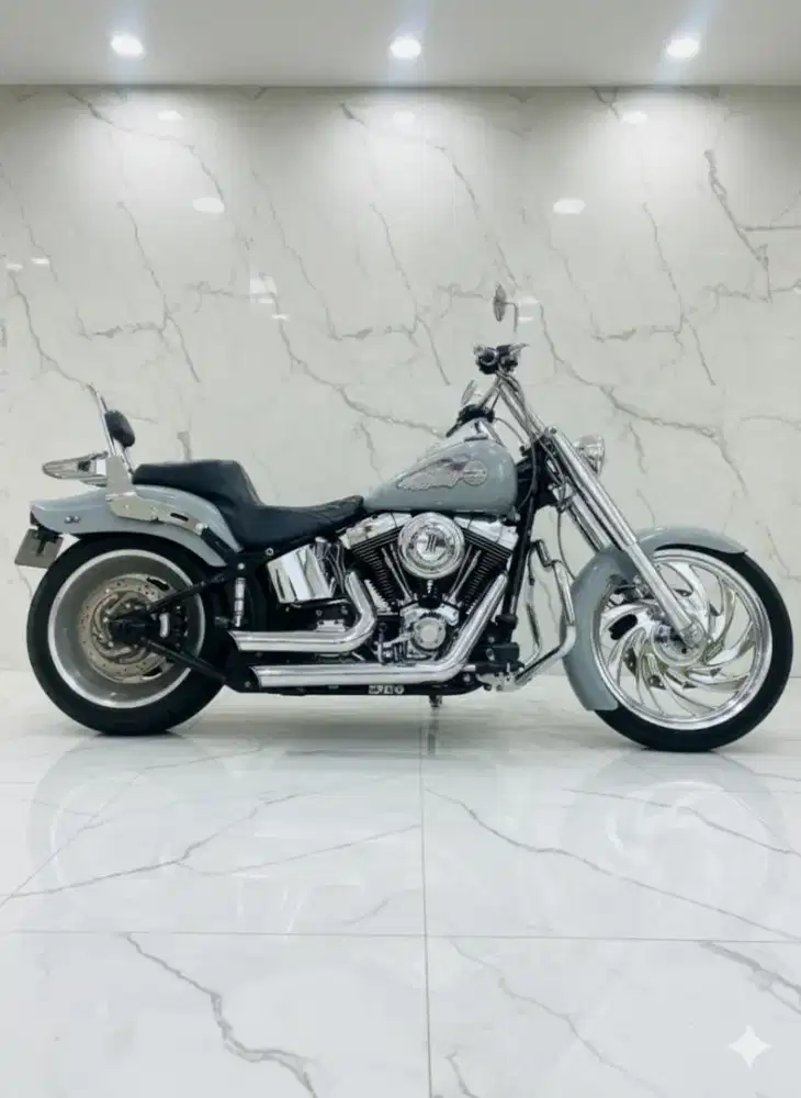 Harley Davidson softail custom