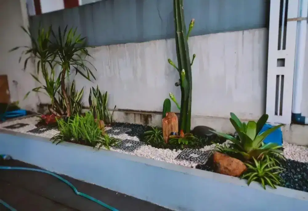 Tukang pembuat Taman dan kolam ikan koi