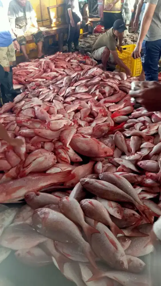 Membutuhkan driver motor