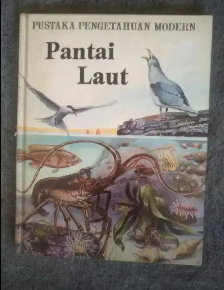 Buku Pustaka ilmu pengetahuan modern tentang PANTAI & LAUT