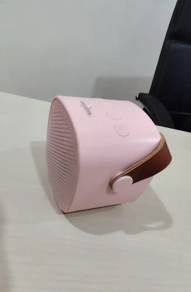 speaker pink plus mic
