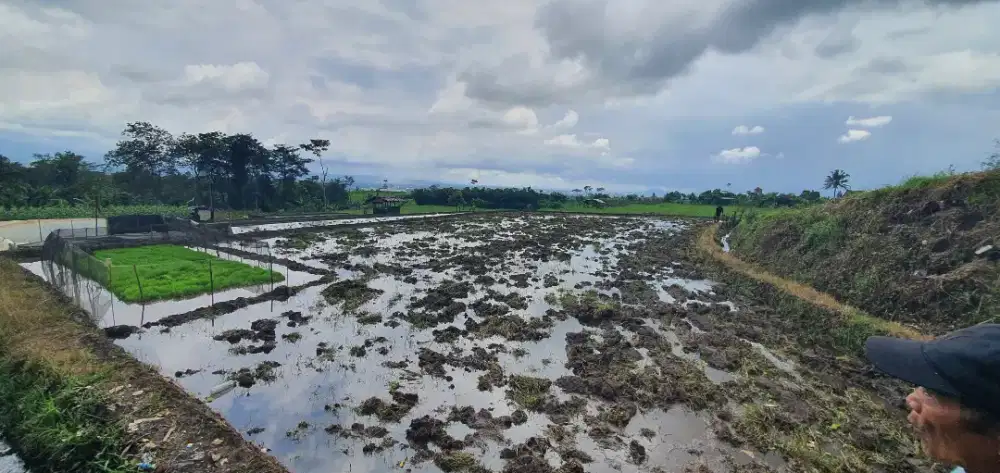 Tanah luas untuk perkebun