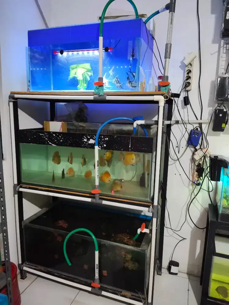 Aquarium+ rak ukuran 100 x 50