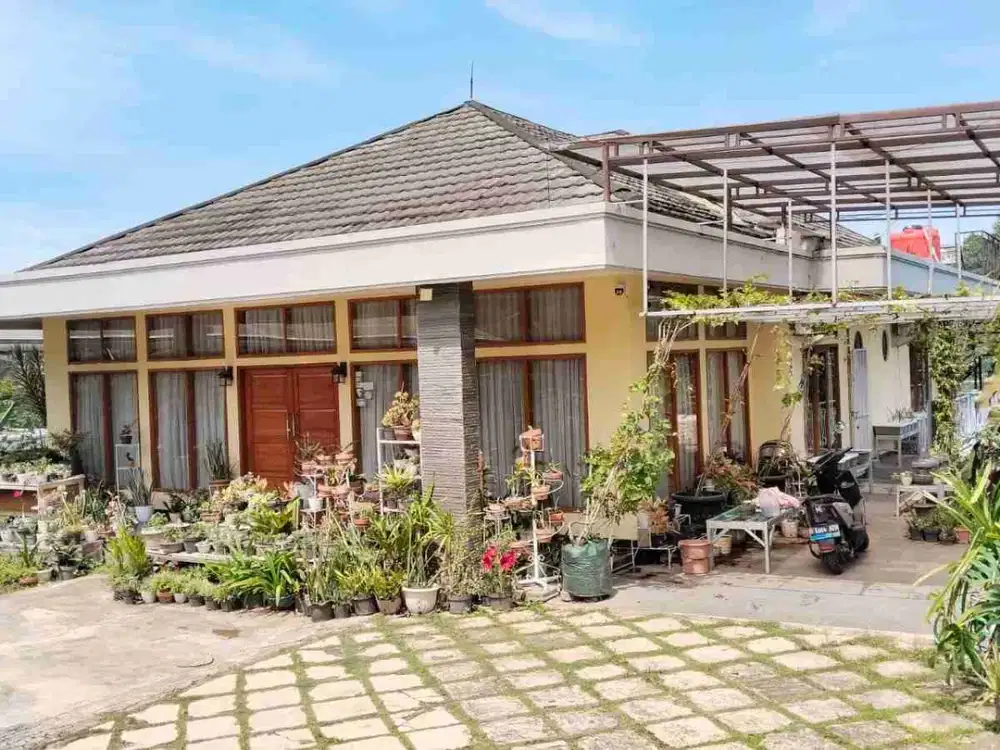 Rumah mewah 2 bangunan + kebun anggur, cocok keluarga besar - Ciumbuleuit, Bandung Utara