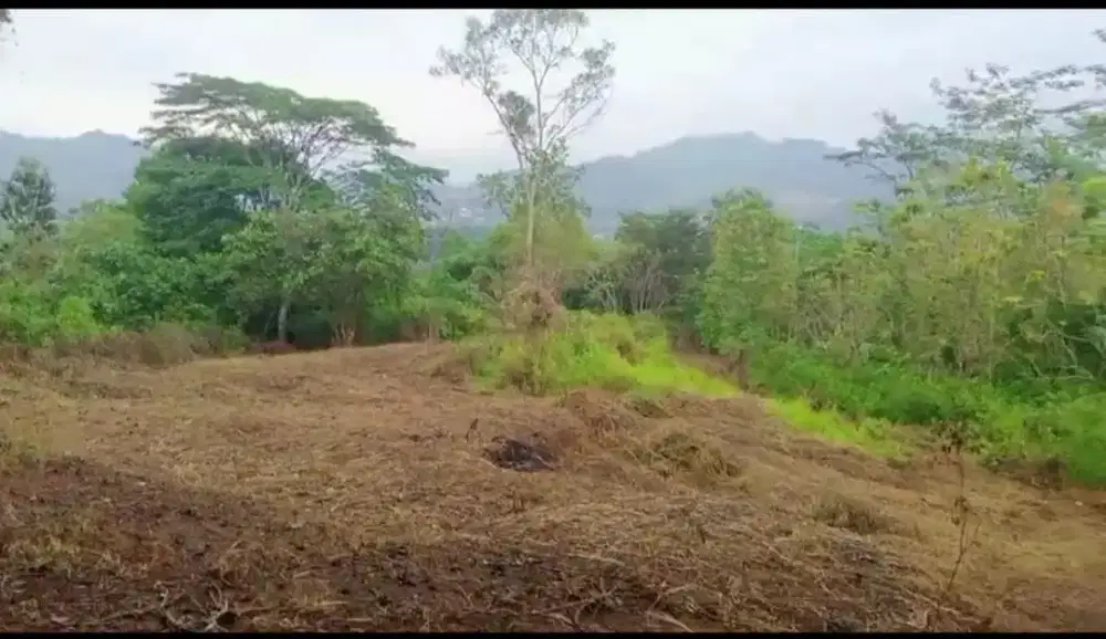 Dijual tanah kebun Rp.75.000 /m2