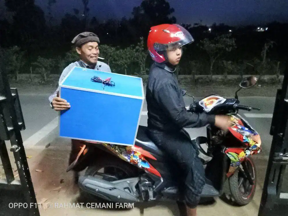 Mesin penetas telur otomatis