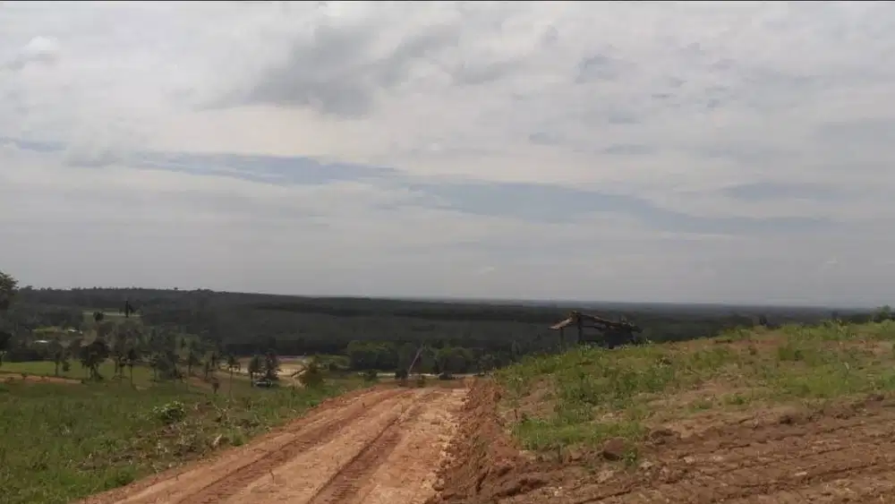 KAVLING TERLUAS DI SABAHBALAU LAHAN TINGGI DAN BEBAS BANJIR