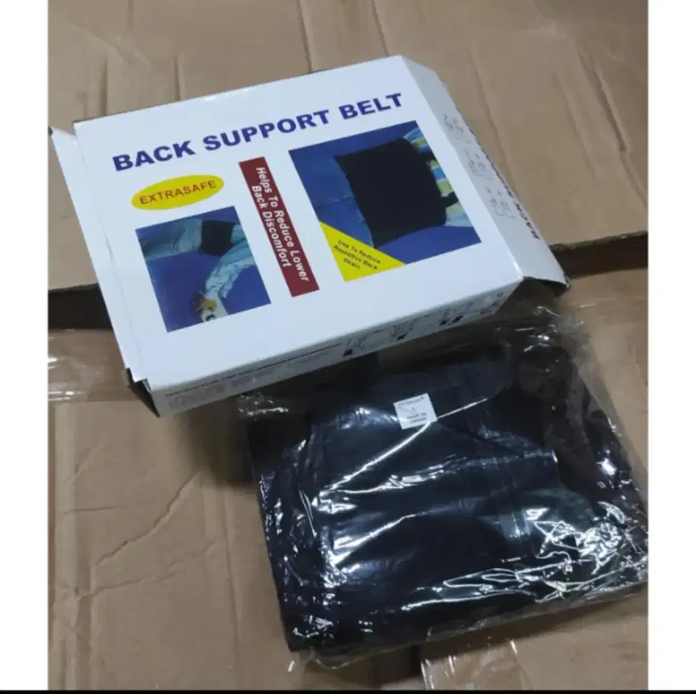 Back support belt