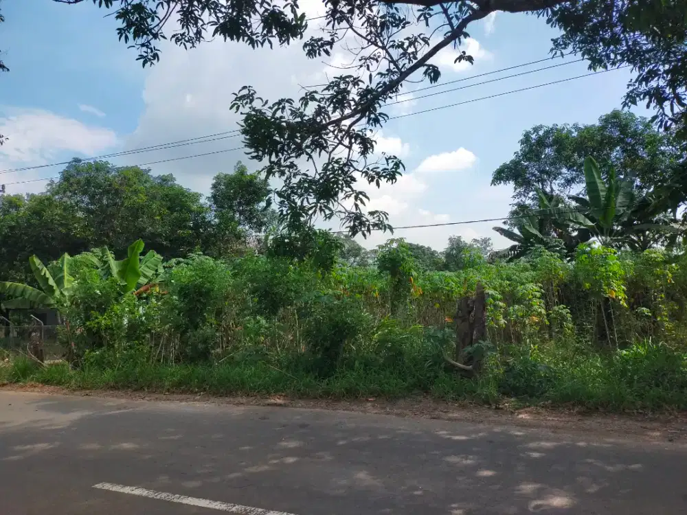 Dijual lahan 3.2 hektar pinggir jalan poros