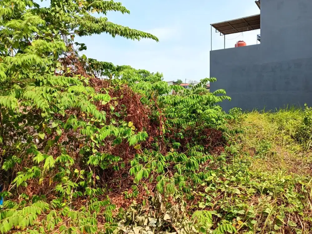 Tanah Di Tlapak, Randegansari, Gresik (Mepet Surabaya)