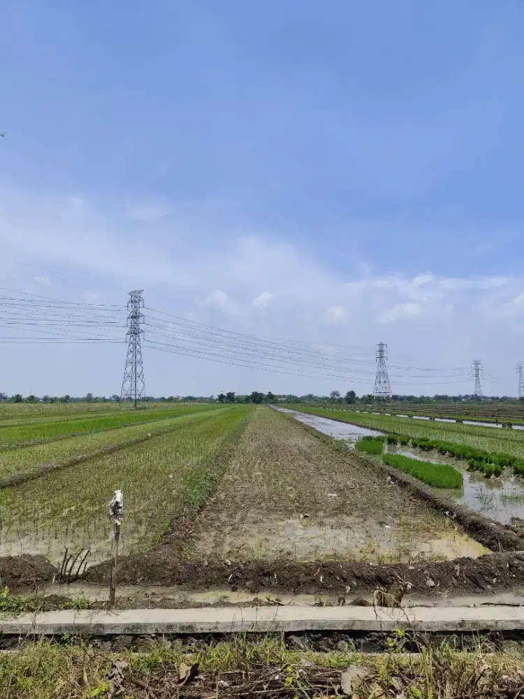 DIJUAL TANAH LUAS 1979 m² LANGSUNG NEGO