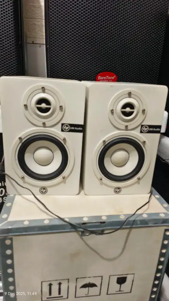 Speaker flat monitor UM audio 5