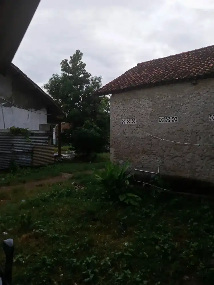 Kontrakan/ Sewa Rumah Bulanan Cirebon