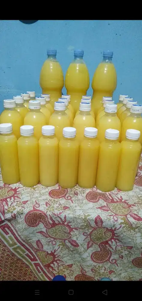 DHA minyak campuran umpan ikan