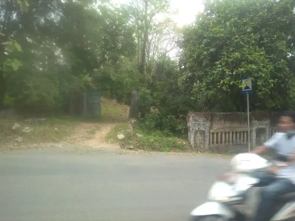 Lahan Kebun Di Kawasan Jonggol Kabupaten Bogor Cocok dibangun perumahan Eduwisata Cafe-Resto dll